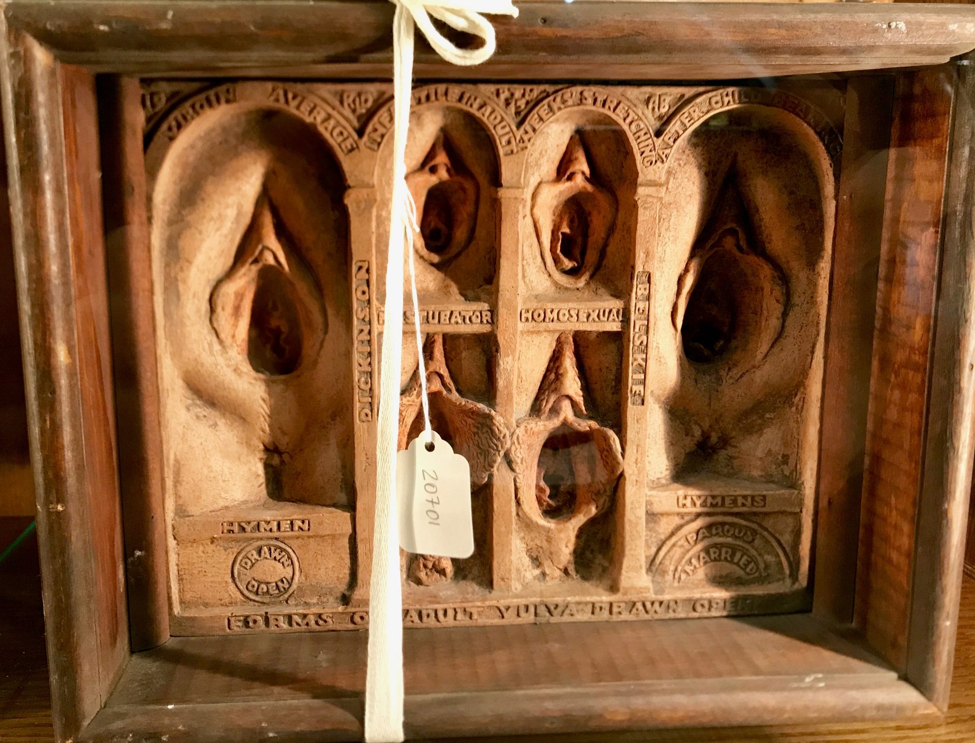 Dickinson-Belskie Collection, Warren Anatomical Museum, Boston (by Luca Ambrosio) (7).jpg